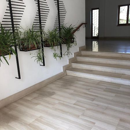 Appartamento Le Zagare Sorrento Exteriör bild