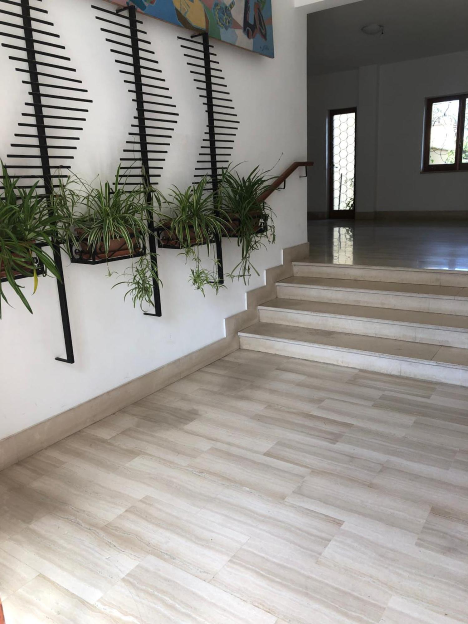 Appartamento Le Zagare Sorrento Exteriör bild
